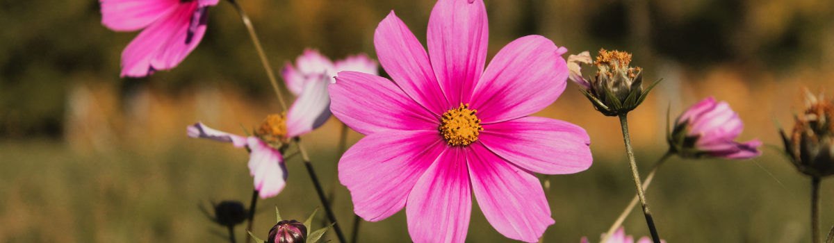 Kurzy a semináře post thumbnail image